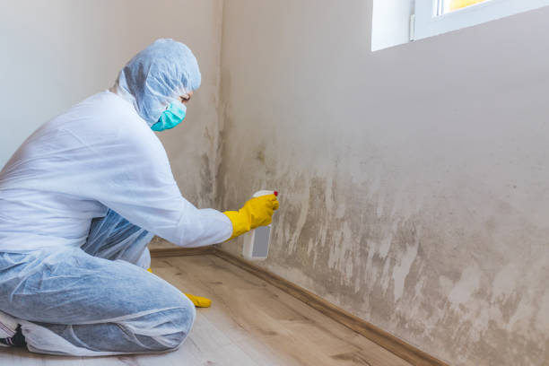 Mold Remediation specialist working in Sparrows Point